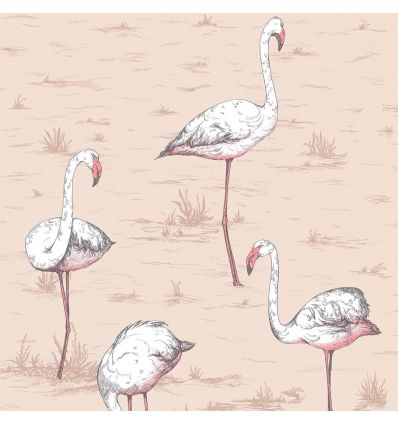cole & son - wallpaper flamingos (powder pink) 