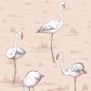 cole & son - carta da parati fenicotteri flamingos (powder pink)