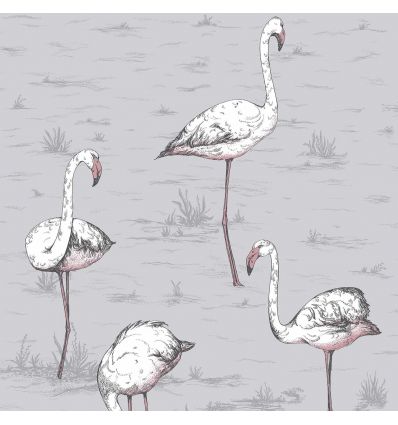 cole & son - carta da parati fenicotteri flamingos (powder blue)
