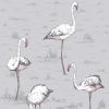 cole & son - carta da parati fenicotteri flamingos (powder blue)