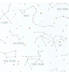 CASELIO wallpaper phosphorescent constellations (white)