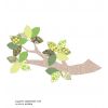 INKE wallpaper decal branch and leaves Sale Online, Best Price
