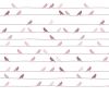 inke - murale in carta da parati uccellini vogels roze