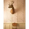 cole & son - wallpaper woods (eau de nil/gold) Sale Online
