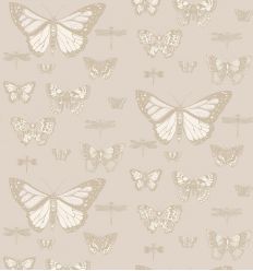 cole & son - carta da parati butterflies & dragonflies (grey/gold)