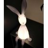 ROSE IN APRIL joseph bunny night lamp 