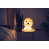 MR MARIA lion first light lamp rechargeable & dimmable led Sale