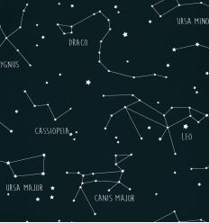 CASELIO wallpaper phosphorescent constellations (night blue)