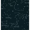 CASELIO wallpaper phosphorescent constellations (night blue)