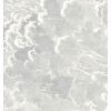 FORNASETTI wallpaper nuvolette soot & snow 