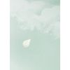 BARTSCH carta da parati nuvole cotton clouds (water lily)